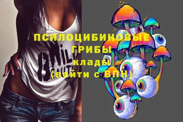 2c-b Алексин